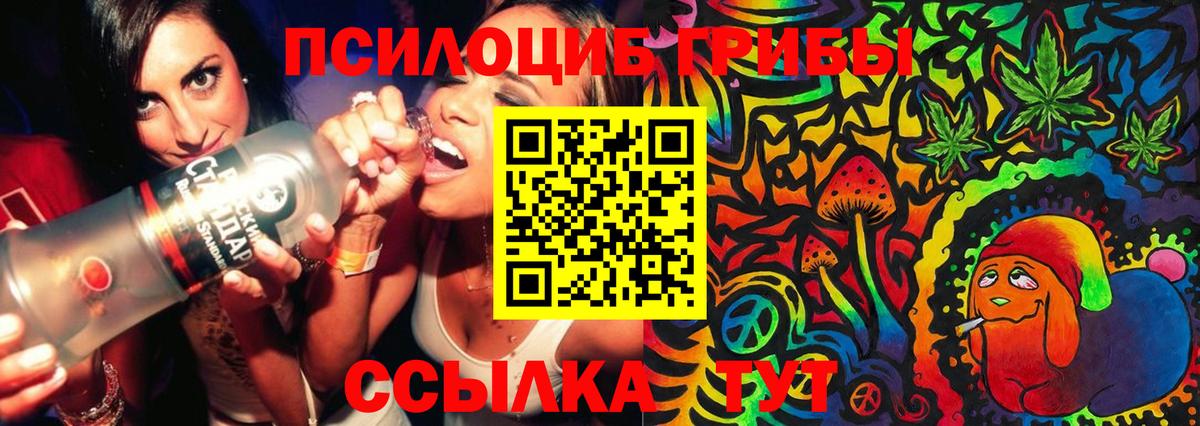 Галлюциногенные грибы мицелий Красный Сулин