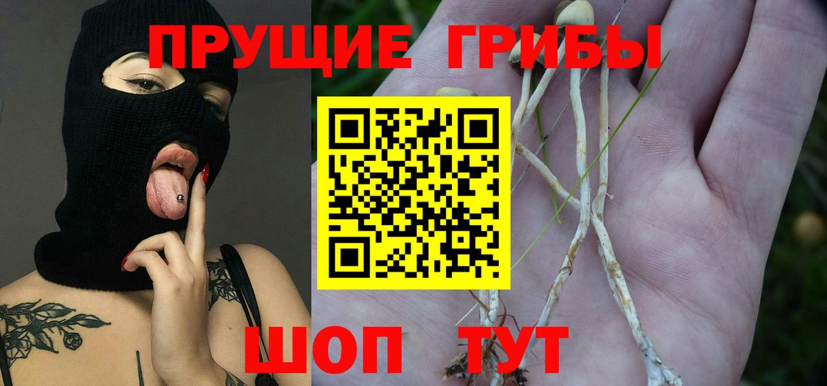 Красный Сулин  Галлюциногенные грибы прущие грибы  Вход с VPN  Псилоцибиновые грибы MAGIC MUSHROOMS 